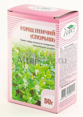 Knotweed (highlander bird's grass)' хорст',='