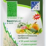 Nutrinant Plus Bakhchevoy 6-16-31 (30 g) Nutriek mini mini