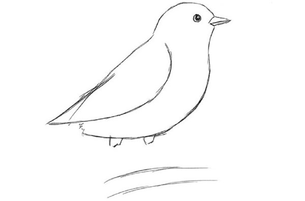 How to draw a bird with a phantal with a pencil