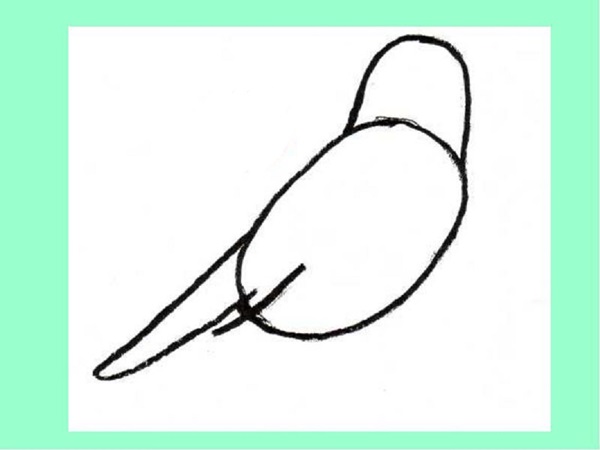 How to draw a bird with a phantal with a pencil