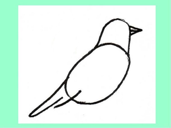 How to draw a bird with a phantal with a pencil