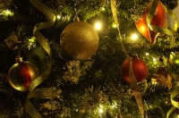 The Ministry of Emergency Situations told why the Christmas tree needs to be removed immediately after the New Year